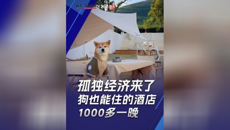 哪吒2票房130亿了,六开奖澳门开奖结果今天,整体规划执行讲解_公测版V14.95
