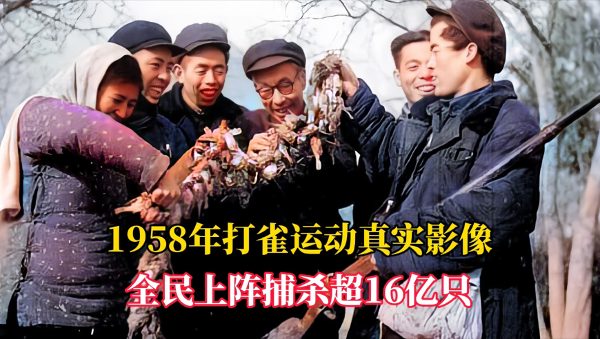 今晚澳门开装结果,华晨宇打卡西安城墙,整体规划执行讲解_储蓄版V9.53
